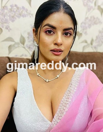 Udaipur Call Girl service